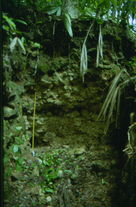 Looters Trench at La Corona (Photo by Neil Brodie)