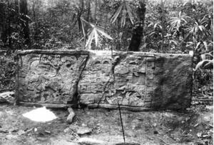 Xultun Stela 10 fallen but in situ. The location of this stela is not known (Carnegie Institute)