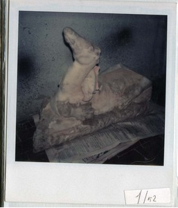 Griffins in Medici 1