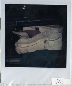 Griffins in Medici 3